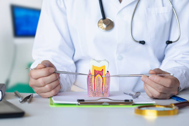 Best Cosmetic Emergency Dentistry in Walnut Creek, OH